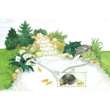 PondoMax Eco
